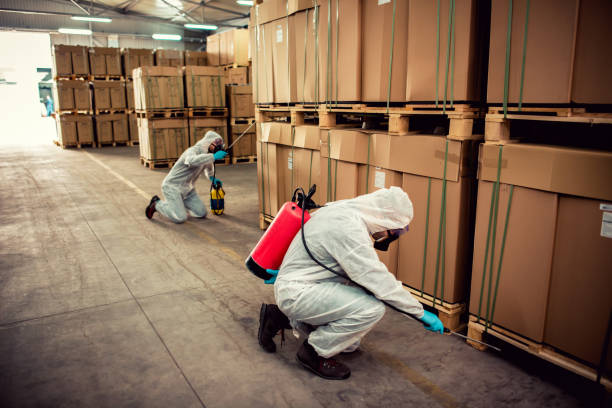 Best Best Pest Control Companies  in Imperial, MO
